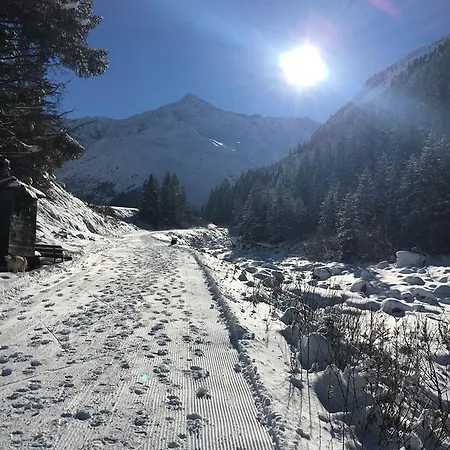 Alpin Apartament