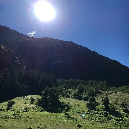 Alpin Apartament