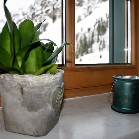 Apartament Alpin *